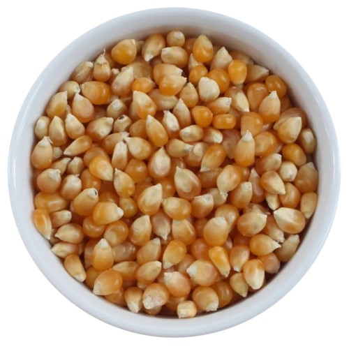 Popcorn kukurydza do prażenia